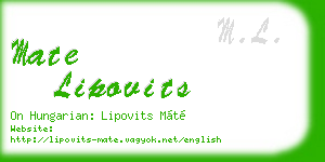 mate lipovits business card